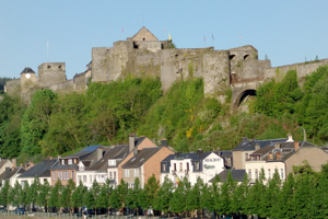  bouillon